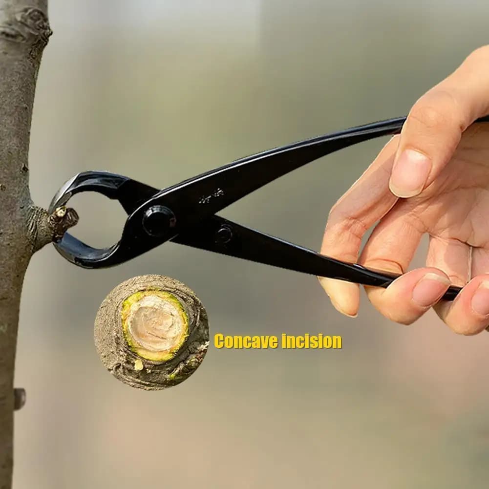 Tools for Maintenance Gardening, Bonsai shears with Giunto a Sfera, Pinze a Punta Tonda, Tronchesi per Incisioni Sferiche, Pinze per Potatura Nodi d'Albero