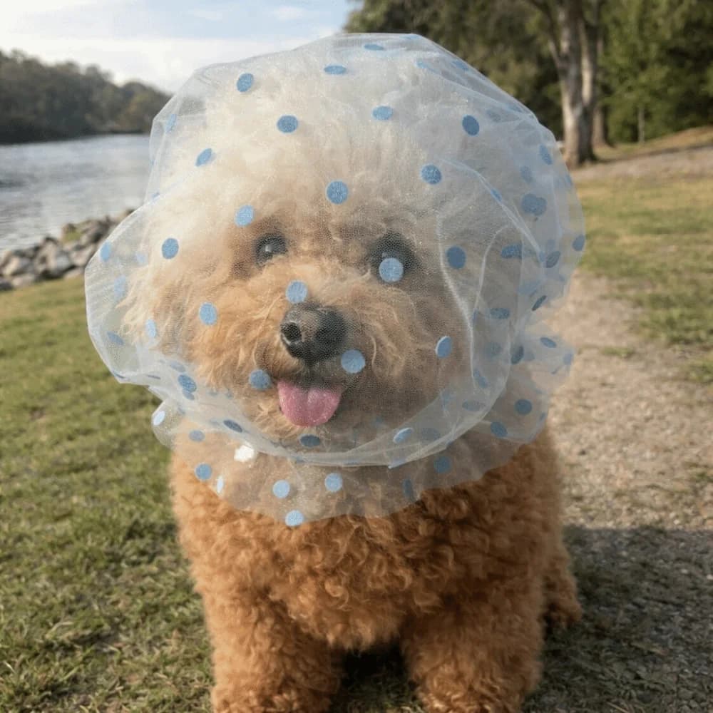 Mesh Pet Anti-Mosquito Headgear Adjustable Love/Wave Point Pattern Dog Anti Licking Headgear Breathable Dog Face Mask Daily Walk