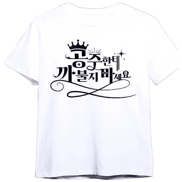T-shirt da donna con slogan coreano “Don't Mess with Princess”, maglietta grafica elegante bianca per gli appassionati di K-Fashion, top Y2K.