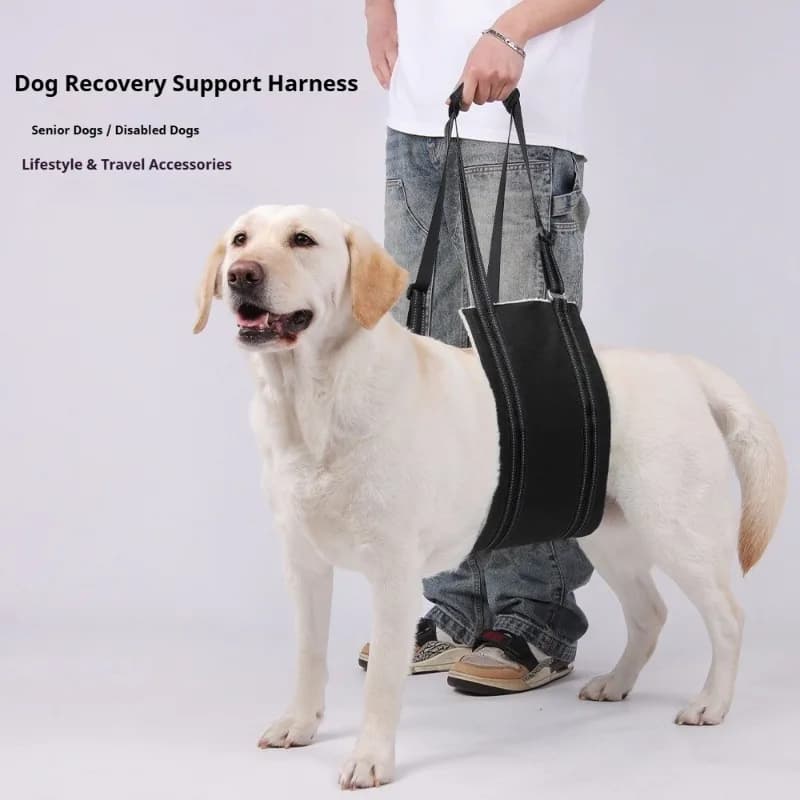Imbracatura Regolabile per Cani Anziani con Supporto per Zampe Posteriori Deboli, Strumento di Assistenza per Animali Domestici