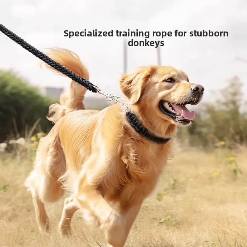 Guinzaglio per cani intrecciato durevole a 8 fili per razze di grandi dimensioni Collare in corda anti-masticare Golden Retriever Labrador P
