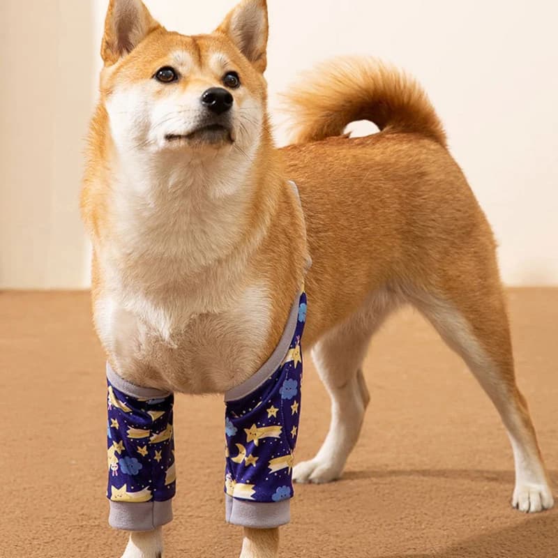 Ginocchiere per animali domestici di taglia grande e media Abbigliamento anti-sporco e anti-grigio Coperture per la protezione delle articolazioni Protezioni per il gomito Protezione per le gambe del cane