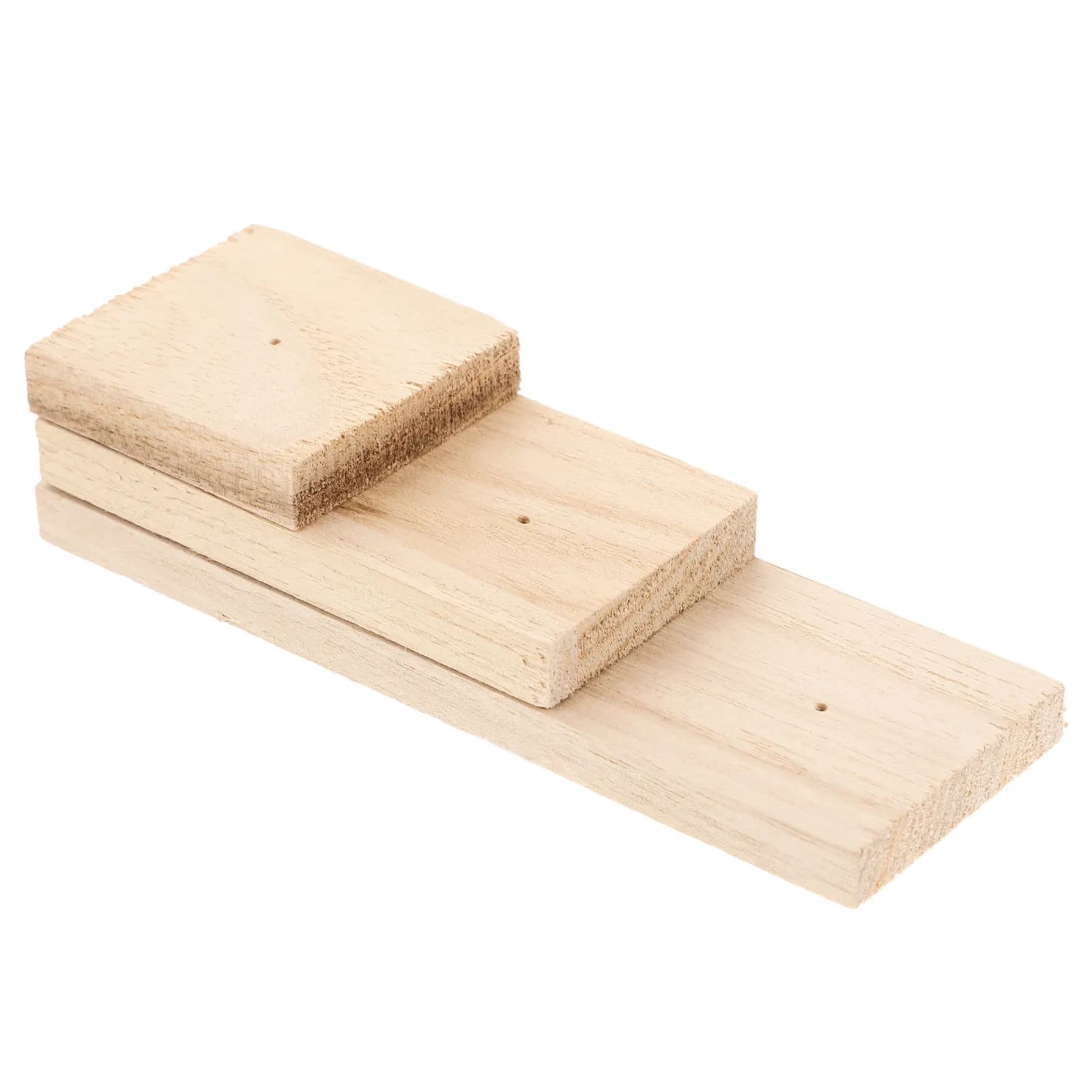 1 pz Blocco in Legno per Collezione di Insetti e Farfalle, Espositore in Legno per Insetti, Supporto per Esposizione, Strumento per Fissaggio in Laboratorio