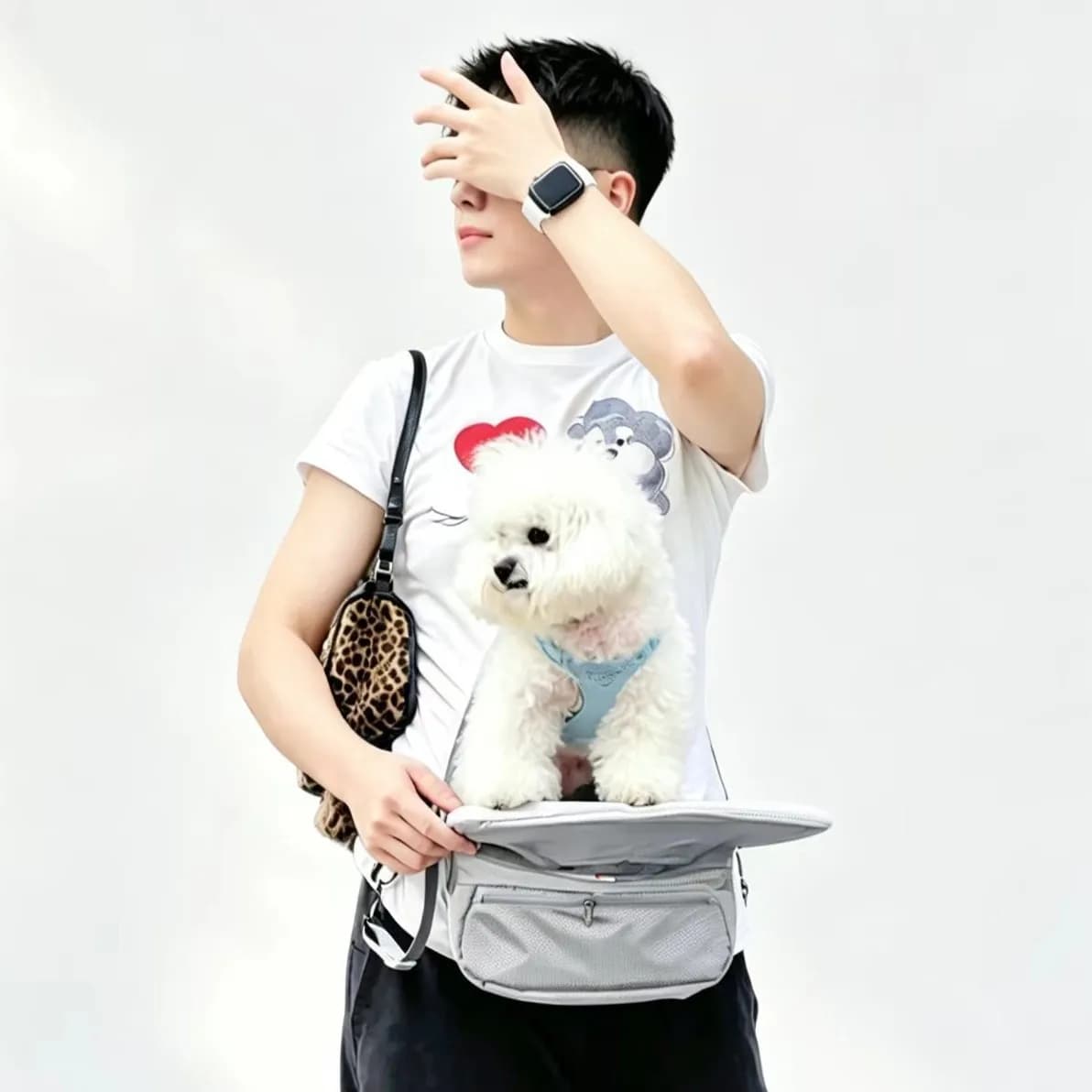 Pet waist stool out portable bag for small dogs and cats, special storage folding cat outer toilet backpack