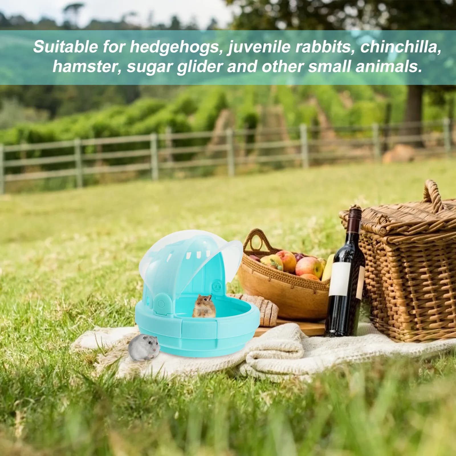 Handheld Pet Carrier Small Animal Travel Cage Hamster Hedgehog Sugar Glider Chinchilla Squirrel Carrier Durable Comfortable