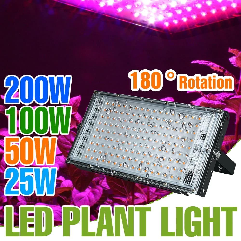 Indoor 200W Spectrum Indoor Lamp, Serra Lighting, Cultivation Tent, Seeds and Flowers Growth Box