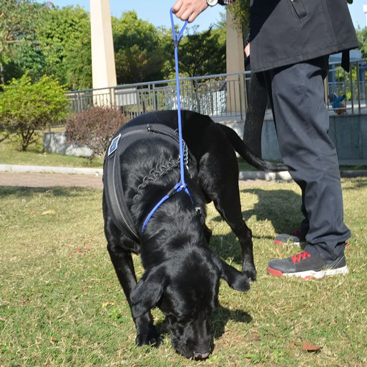 Guinzaglio per Cani in Nylon e Cotone Blu da 150 Cm, Corda Regolabile per Addestramento e Passeggio, Resistente ai Morsi e Morbido