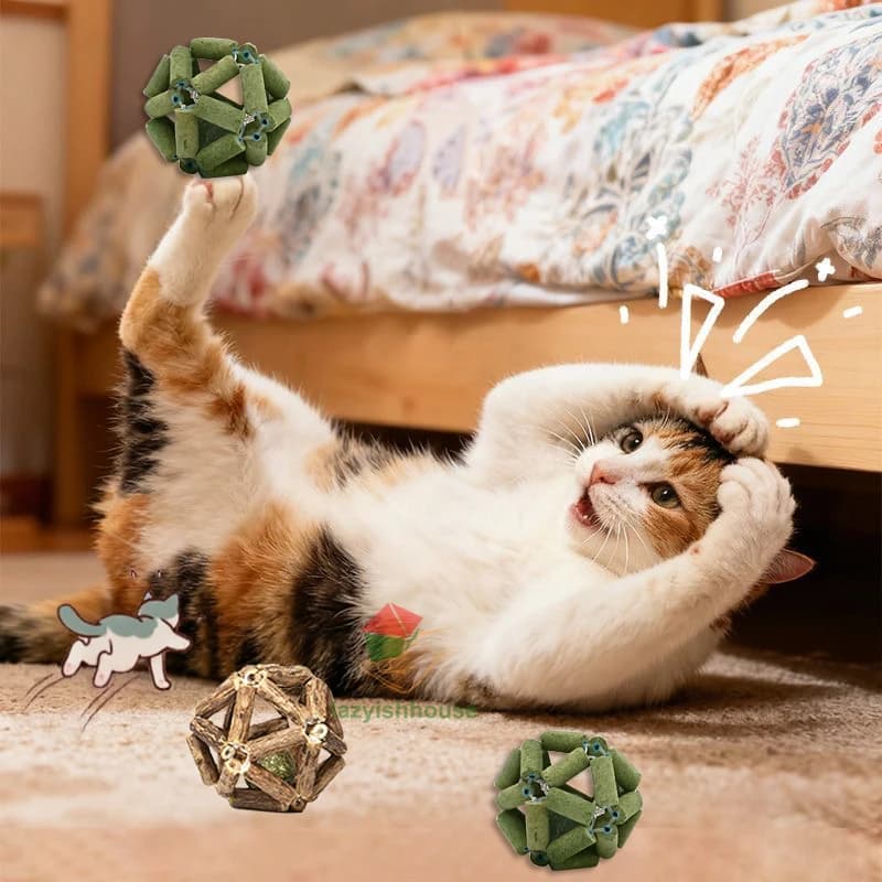 Pallina di Catnip Interattiva per Gatti, Giocattolo per Gattini con Matatabi e Polygonum, Pulizia dei Denti, Palline di Legno Salutari con Catnip, Articoli per Animali Domestici