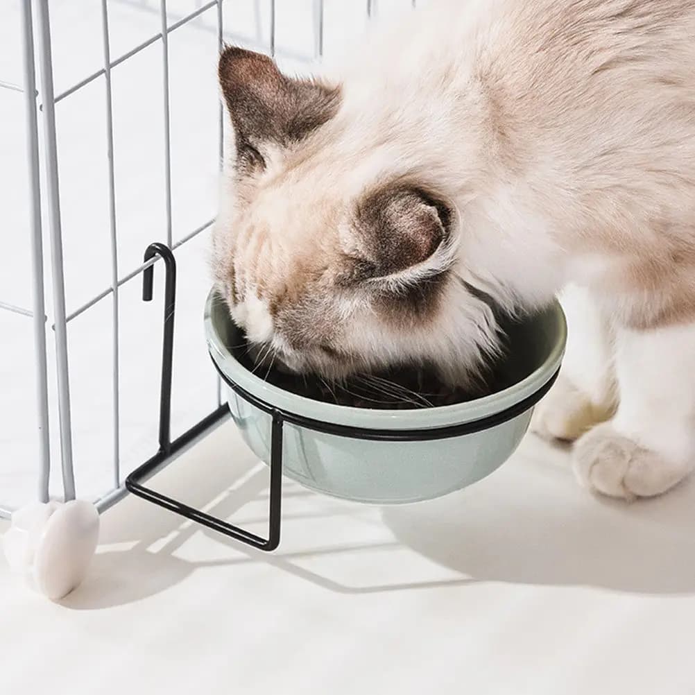 Set di 1 Ciotola in Ceramica per Animali Domestici, Ciotola per Gatti con Altezza Regolabile, Superficie Liscia, Supporto per Ciotola d'Acqua per Cani, Contenitore per Cibo per Gatti