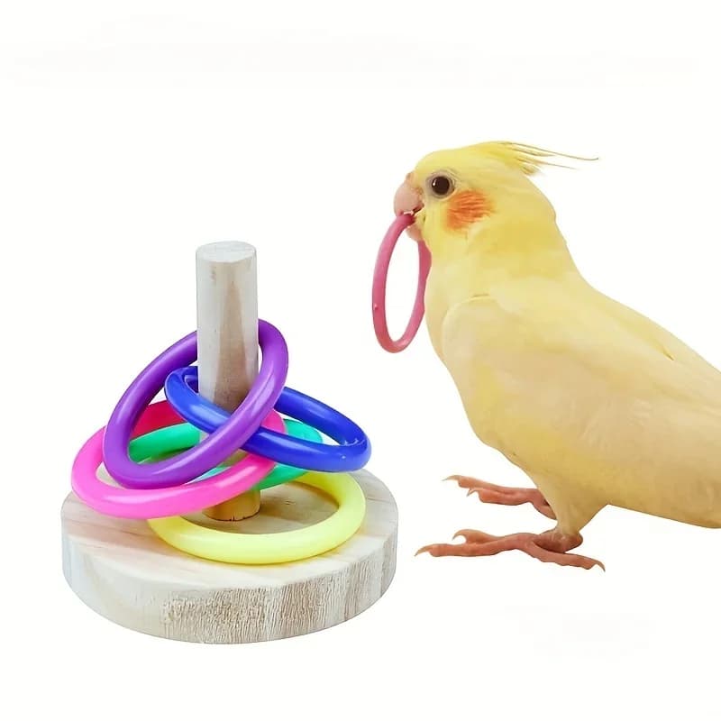 Giocattolo interattivo in legno con anello per pappagallo, esercizio educativo, stimolante, divertimento, tempo di gioco per pappagalli, parrocchetti, uccelli, colore casuale