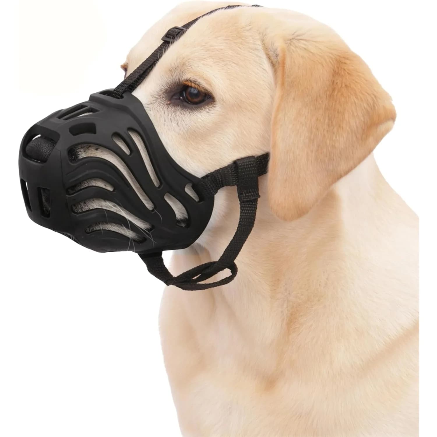 Museruola per Cani in Rete Resistente, Anti-Morso, Anti-Abbaio, Anti-Masticazione, Regolabile, per Addestramento e Toelettatura
