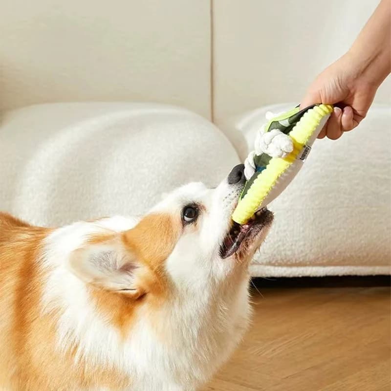 Giocattoli Sonori per Cani, Giocattoli da Masticare a Forma di Scarpe da Ginnastica in Tela, Giocattoli Interattivi in Corda per Cani, Bastoncini da Masticare per la Pulizia dei Denti dei Cuccioli