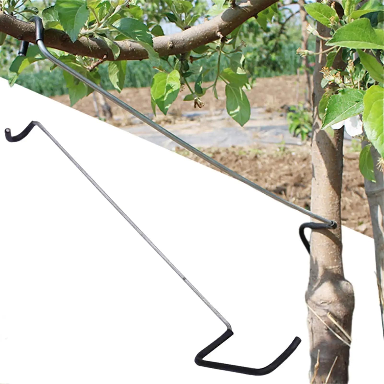 Dilatatore per rami di alberi da frutto, set da 10 pezzi, piegatore per rami di alberi da giardino, strumento per piegare rami per la piantumazione di prati e giardini