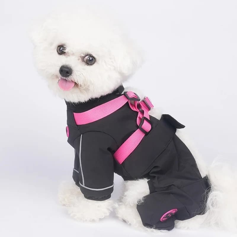 Abbigliamento impermeabile per cani Giacca in uscita all-in-one resistente alla polvere e allo sporco Abbigliamento riflettente a quattro gambe con imbracatura integrata
