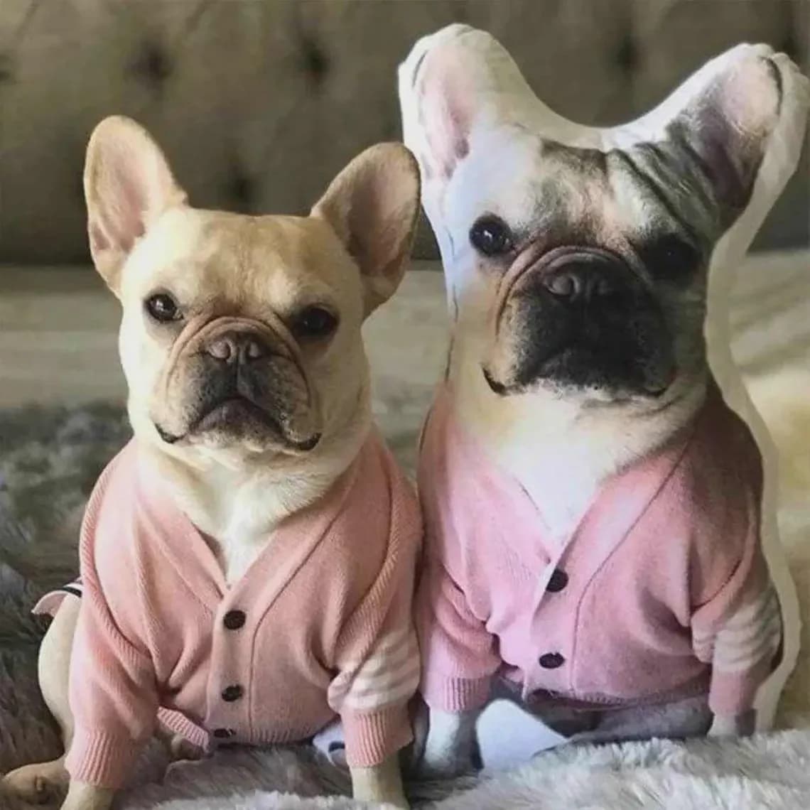 Cuscino in peluche Bulldog francese personalizzato con stampa fronte-retro e cerniera nascosta, adatto per il compleanno