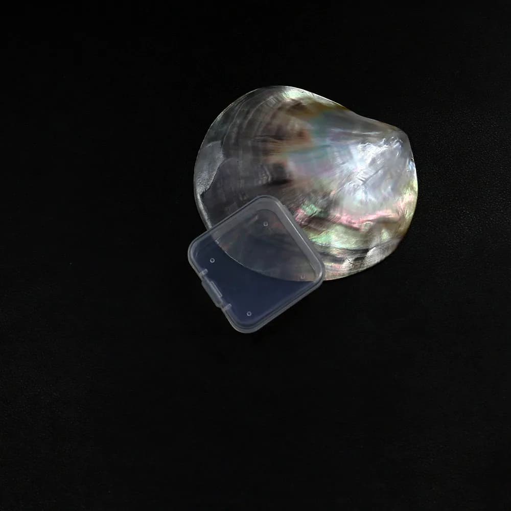 Plastic Storage Box for Small PP Transparent DIY Stationery for Nail Supplies Accessories for Fishing Equipment