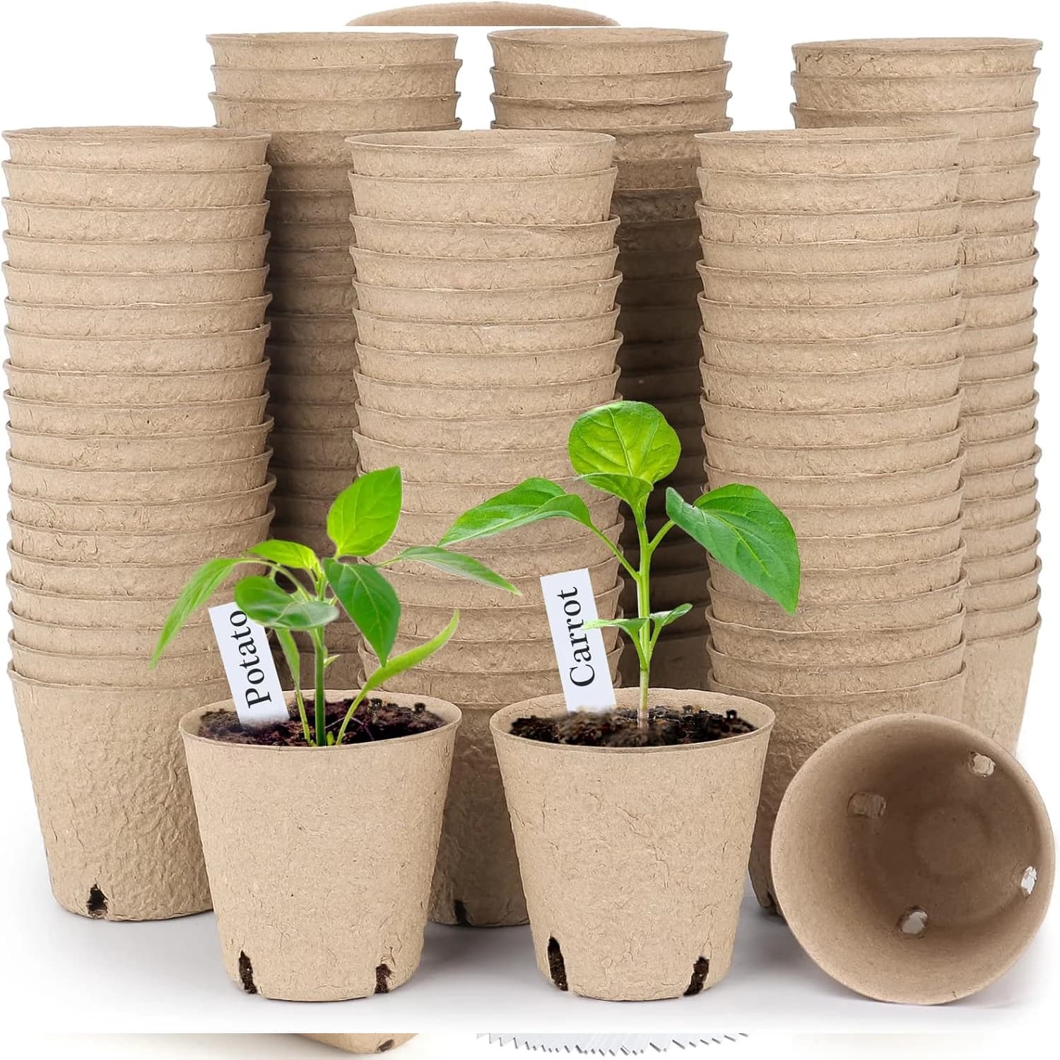 Vaschette Biodegradabili Ecologiche per Semina con Coperchio, Contenitori Monouso per Germinazione, Vasi per Coltivazione, Sano Sviluppo delle Piante