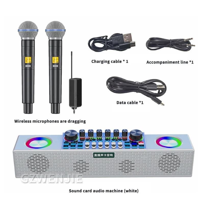 Altoparlanti Bluetooth professionali multifunzione Attrezzatura per scheda audio per trasmissione in diretta Famiglia portatile KTV Karaoke Macchina all-in-one