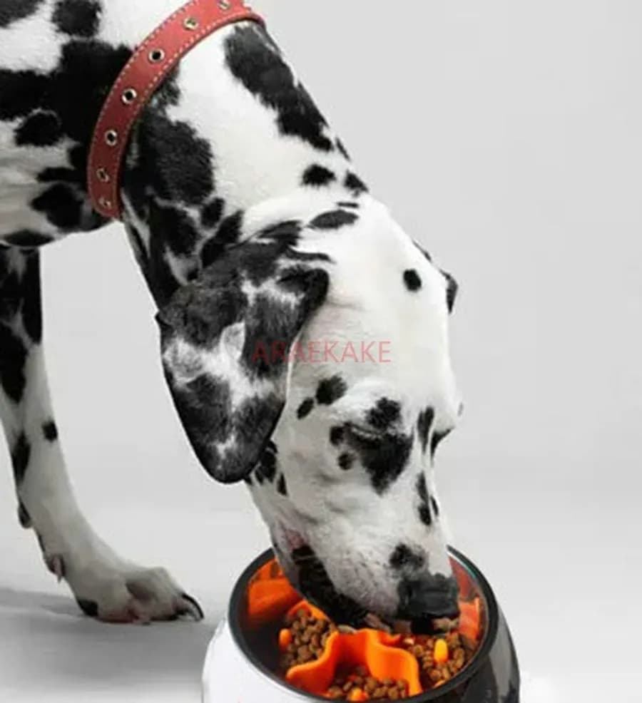 Tappetino per leccare animali domestici Tappetino per leccare ventosa in silicone Tappetino per alimentazione lenta Tappetino per leccare cani a alimentazione lenta anti soffocamento