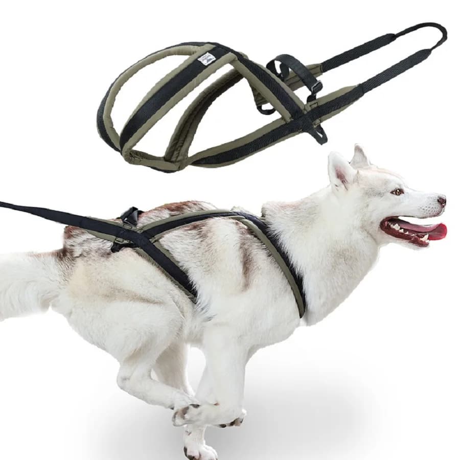Set di Imbracatura e Guinzaglio per Cani di Taglia Media e Grande, Adatto per Passeggiate e Passeggiate con Slitta