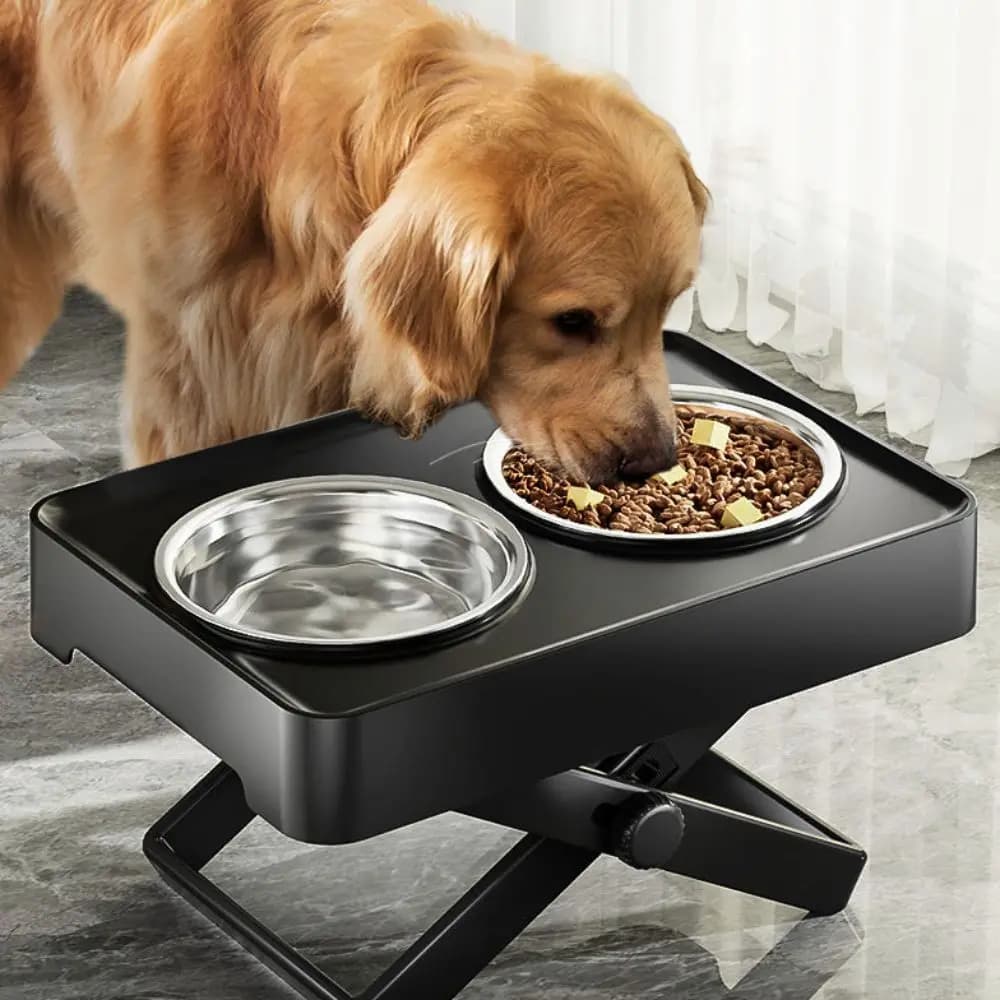 Bowl for Cans Adjustable in Height with Protection for Column, Stainless Steel, Anti-correcting, Design for Double Bowl Stable, Eating for Animals