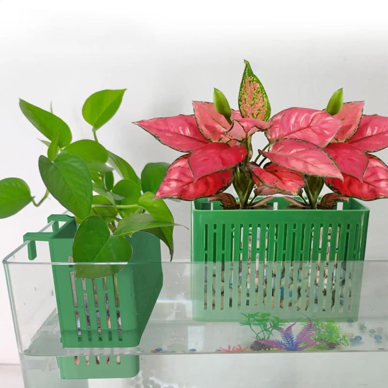 Supporto per piante da acquario Supporto per piante idroponiche assorbibile Contenitore per acquario in plastica Cestino portaoggetti vuoto quadrato Decorazioni per acquario