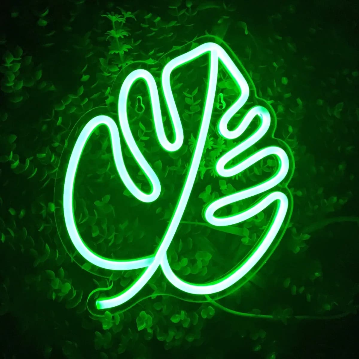 Insegne luminose al neon con foglie di Monstera verdi, insegne a LED da appendere al muro alimentate tramite USB, i migliori regali ideali per l'arredamento di camere/balconi/giardini