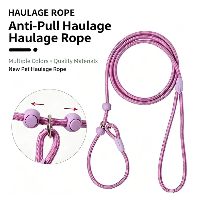 Light Nylon Round Rope P Chain Slip Lead 160cm Adjustable No Pull Dog Training Walking Leash For Small Medium Dogs Pet Supplies