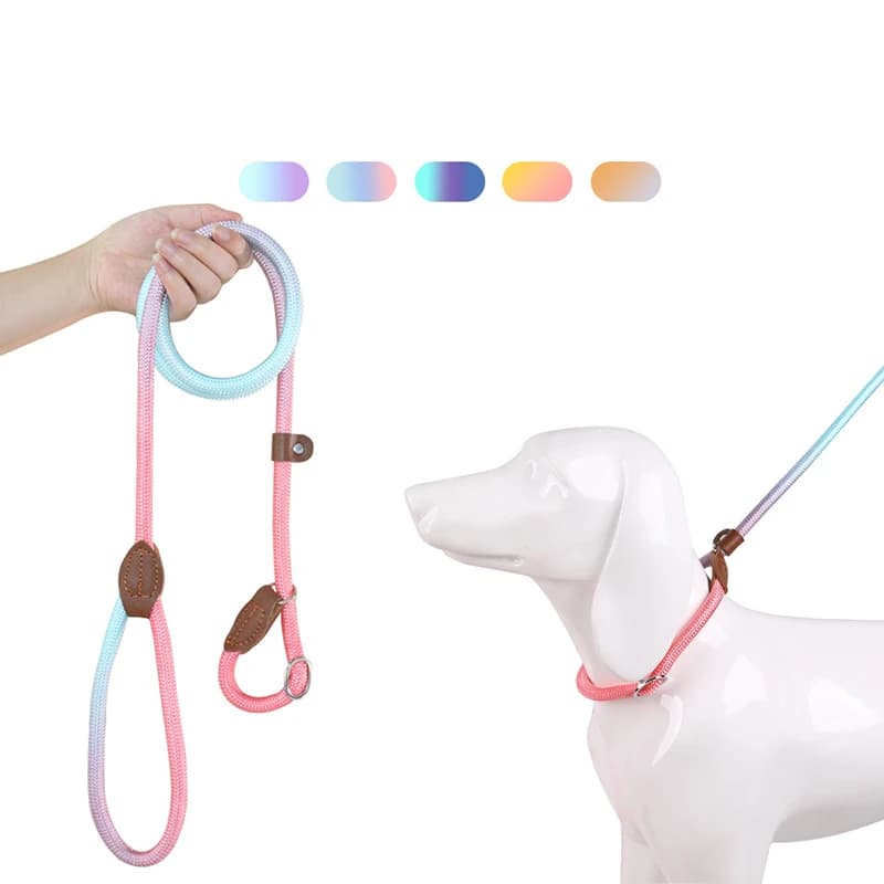 Guinzagli per cani Guinzaglio per addestramento per cani in piombo antiscivolo Guinzaglio per addestramento per cani di taglia piccola, media e grande intrecciata resistente