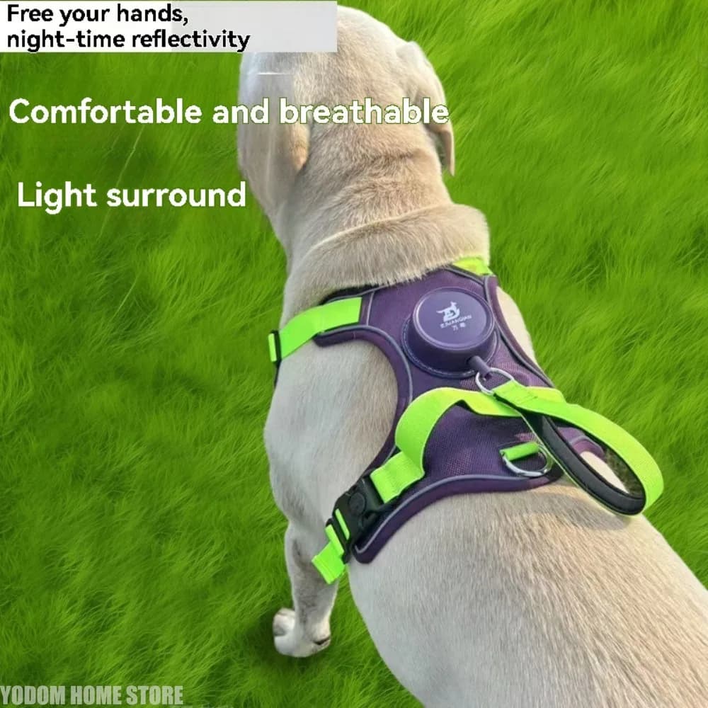 Guinzaglio retrattile automatico per cani con cinturino pettorale e dorsale, corda integrata, gilet riflettente per animali domestici, accessori per animali.