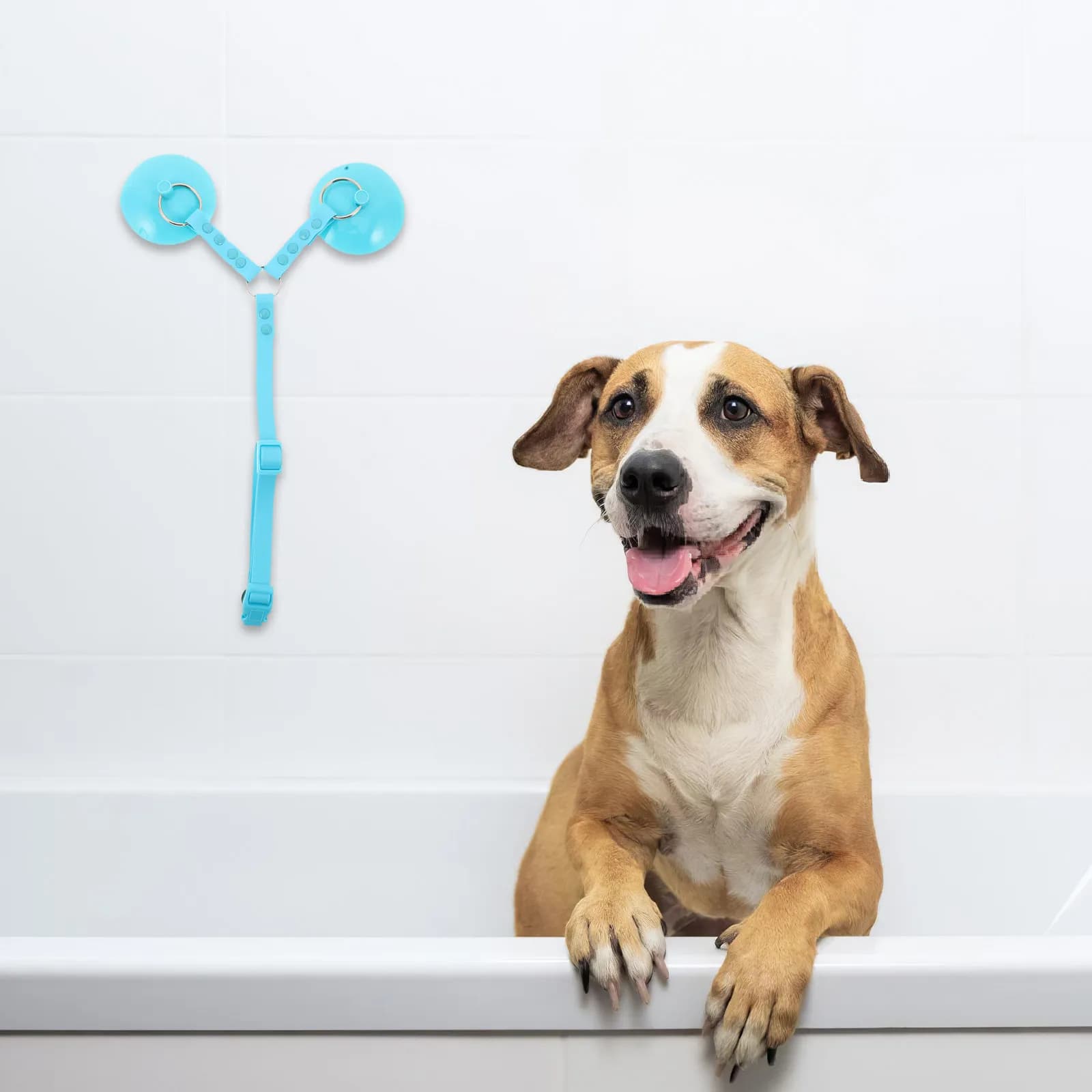 Cinghia di Sicurezza per Bagno e Toelettatura Cani con Ventosa Potente e Collare Regolabile, Ausilio per Toelettatura Animali Domestici