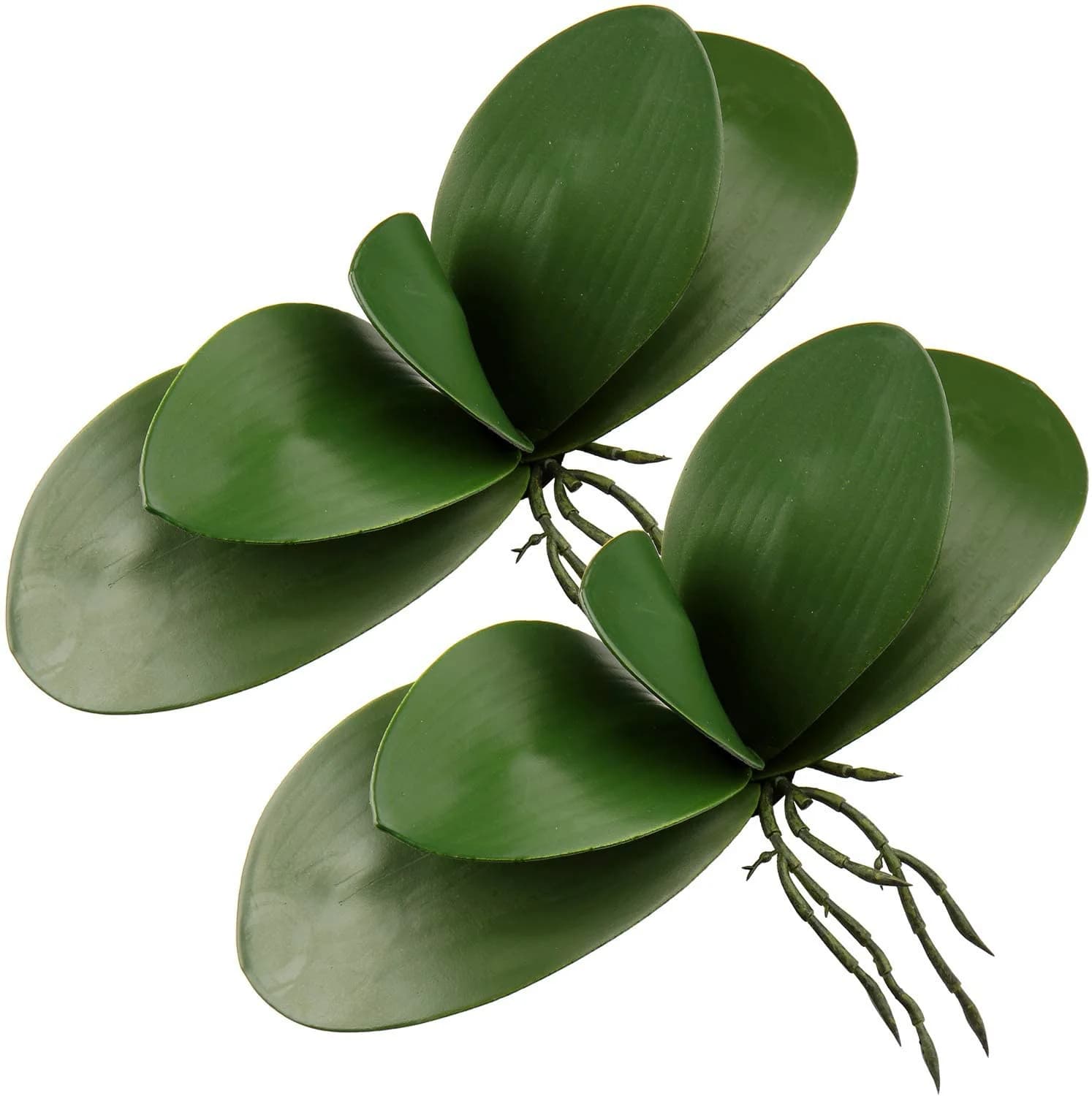 Artificial Phalaenopsis leaves Real Latex Touch Plants arrangement fake orchid leaves Green Real Touch Latex-2pcs