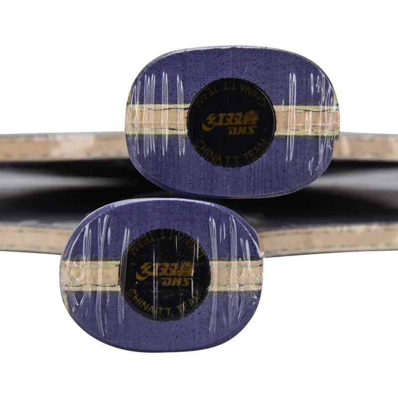 Racchetta da ping pong originale DHS Hurricane 301 H301 ALC in carbonio