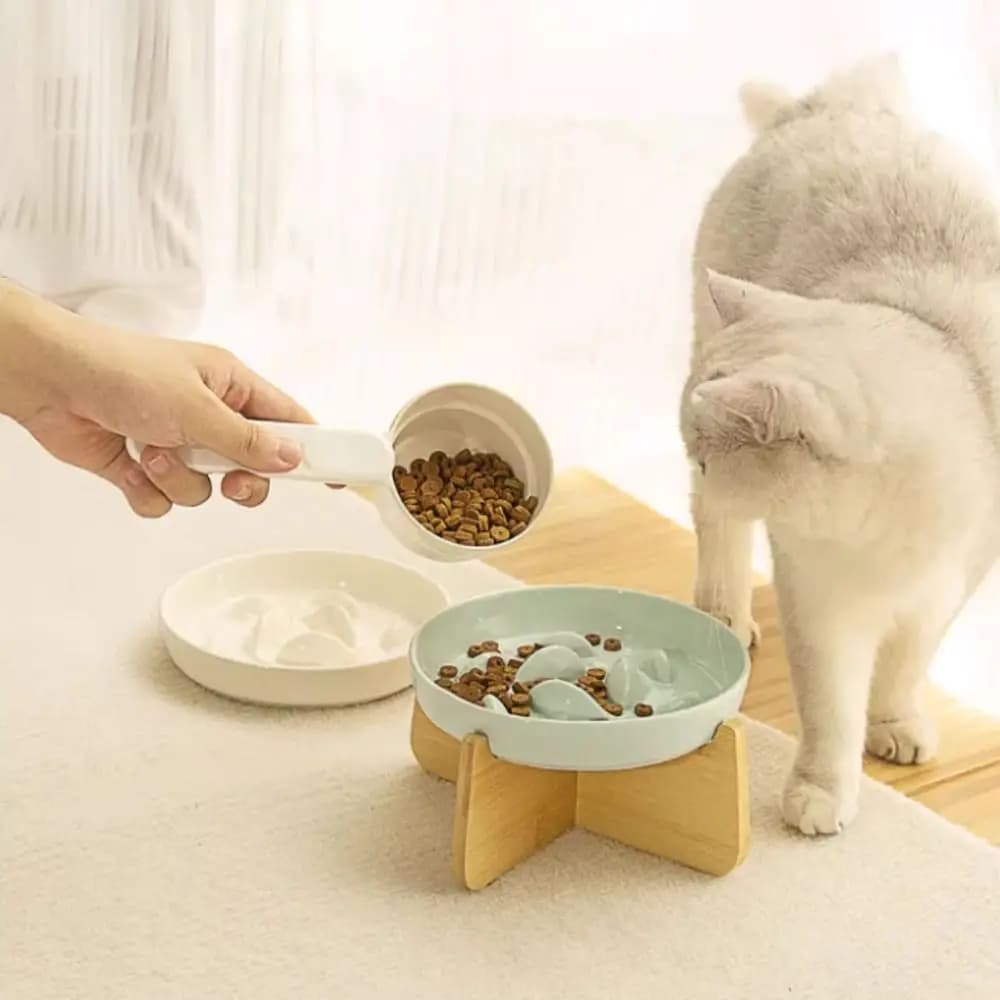 Ciotola Rialzata per Gatti con Supporto in Legno, Ciotola in Ceramica Anti-soffocamento a Lenta Alimentazione, Ciotola Ergonomica per la Protezione del Collo, Ciotola per l'Alimentazione di Gatti e Animali Domestici