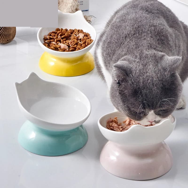 Forniture per gatti per animali domestici dei cartoni animati Ciotola singola Cibo per cani Stoviglie Ciotola Bacino per cani Ciotola alta Alimentatore creativo per animali domestici a forma di gatto