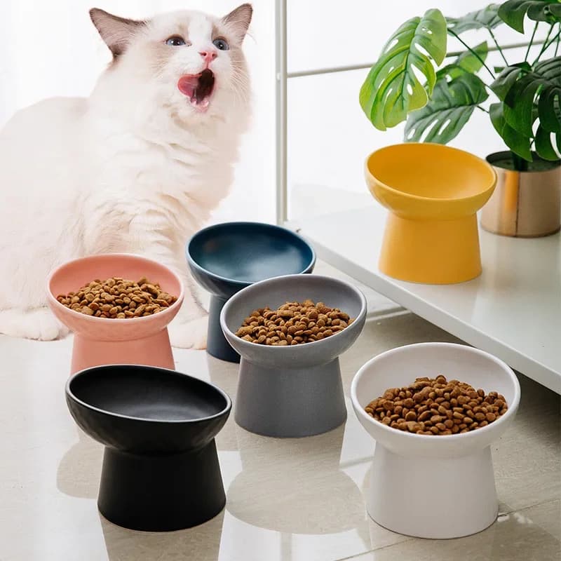 Ciotola per acqua per cibo in stile nordico per gatti Piatti per mangiare in ceramica per animali domestici Piedi alti rialzati Cuccioli di gatto Ciotole opache Ciotole per cani rialzate
