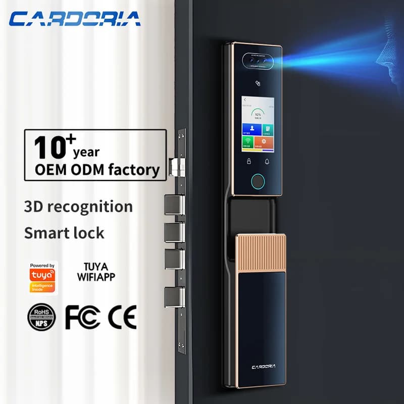 Riconoscimento facciale 3D Porta principale Serratura intelligente digitale Batteria Tuya Wifi Citofono visivo Serratura biometrica automatica per la sicurezza domestica