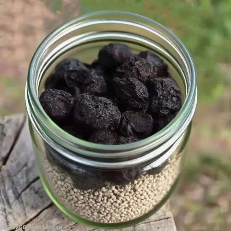 Ume natural flower plum black acid plum for incense bag soap wedding candle home made perfume creation outdoor decorations