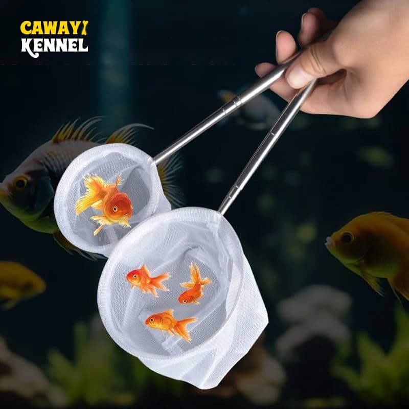 Manico quadrato rotondo in acciaio inossidabile Rete per acquario Rete per immersione Attrezzatura da pesca per la cattura di pesci ornamentali Accessori puliti per acquari di gamberetti