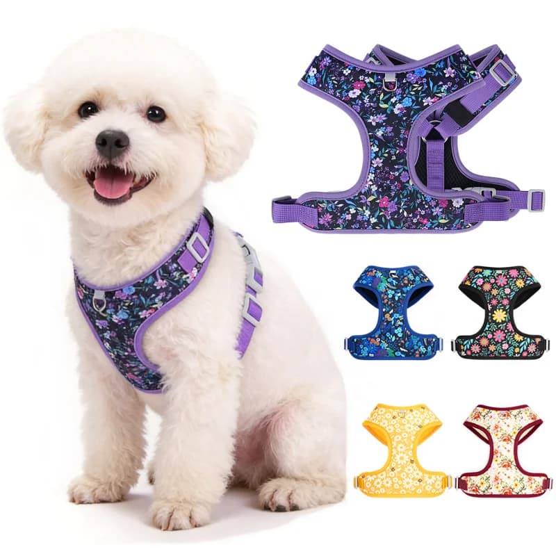 Escape Proof Floral Daisy Dog Harness Outdoor Chest Strap Dogs Accessories Cat Puppy Vest Harnesses for Chihuahua French Bulldog