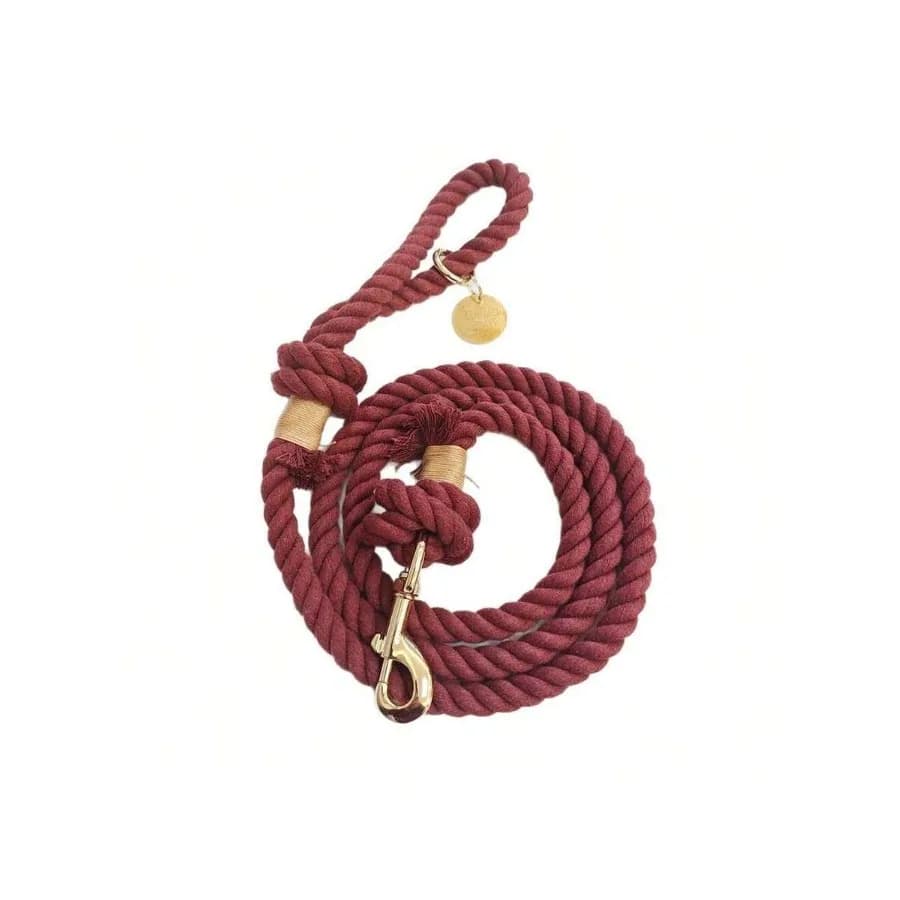 【New style】1pc 5ft Long Handmade Multi-Color Options Polyester Rope Pet Dog Leash For Medium Large Small Dogs, Training and Wal