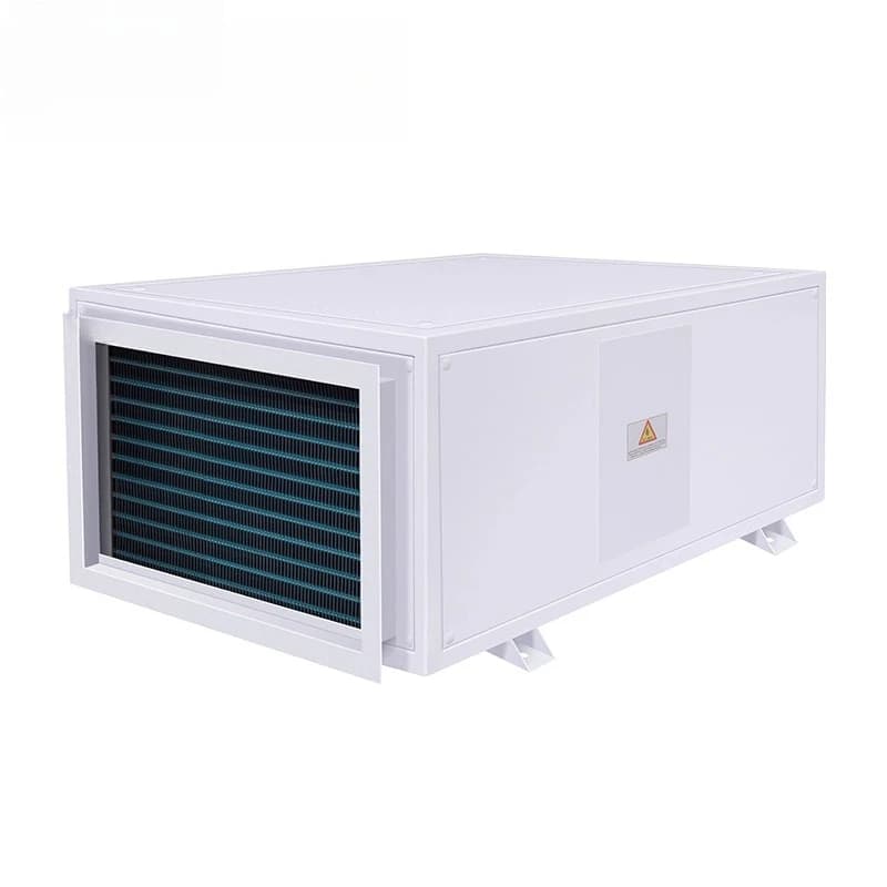 Deumidificatore elettrico per condotti montato a soffitto Deumidificatore per soffitto ad alta potenza Apparecchiatura di refrigerazione