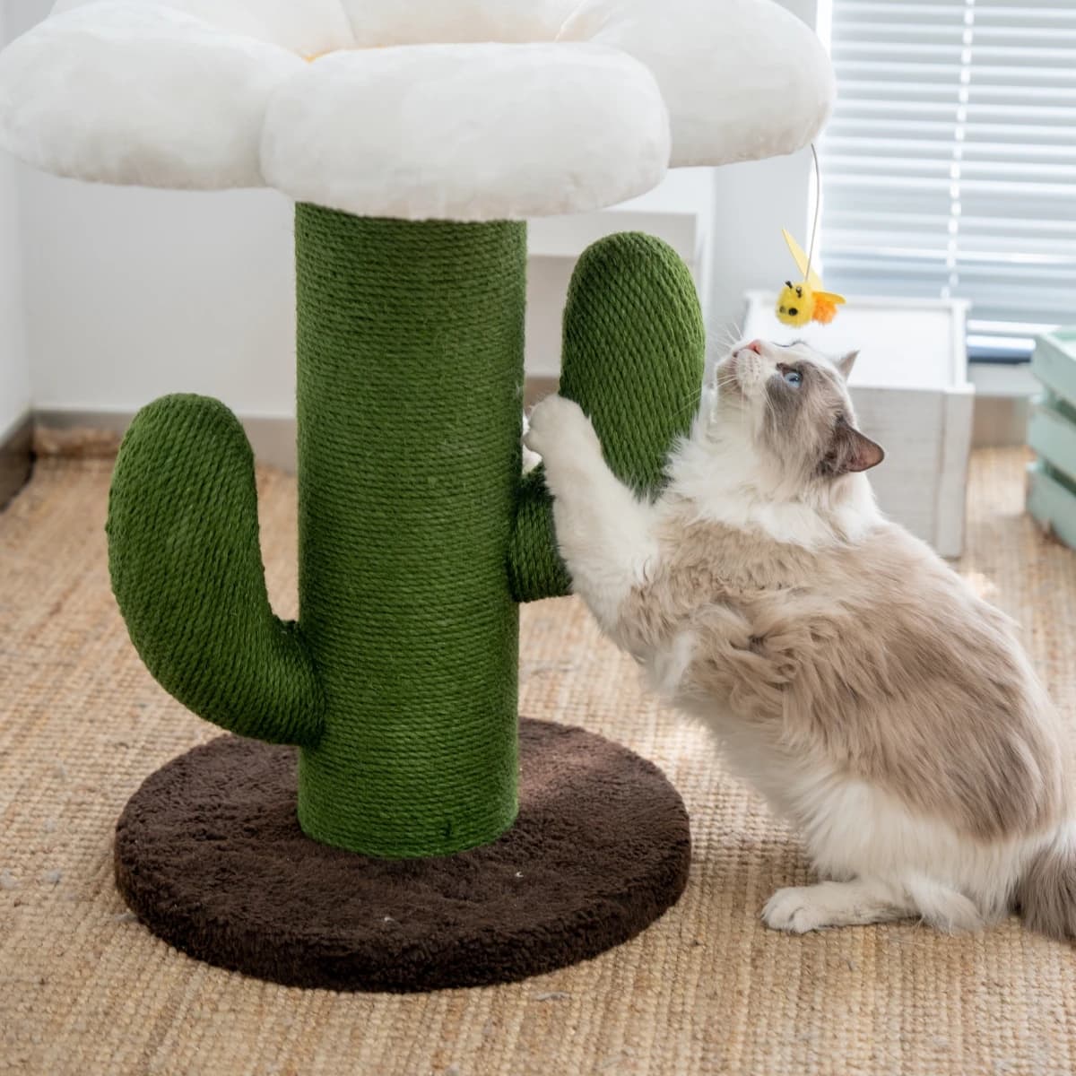 Tiragraffi integrato per albero per gatti con cactus floreale per gatti di grandi dimensioni per razze di Ragdoll Maine Coon Materiale in sisal durevole