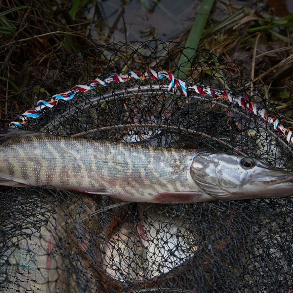 Rete da Pesca Pieghevole Portatile, Varie Dimensioni, in Nylon e Filo d'Acciaio, Trappola per Granchi e Gamberi, per Pesca in Acqua Dolce