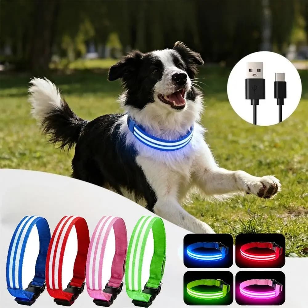 Collare per cani regolabile con luce LED lampeggiante, in nylon, impermeabile, con fibbia a sgancio rapido