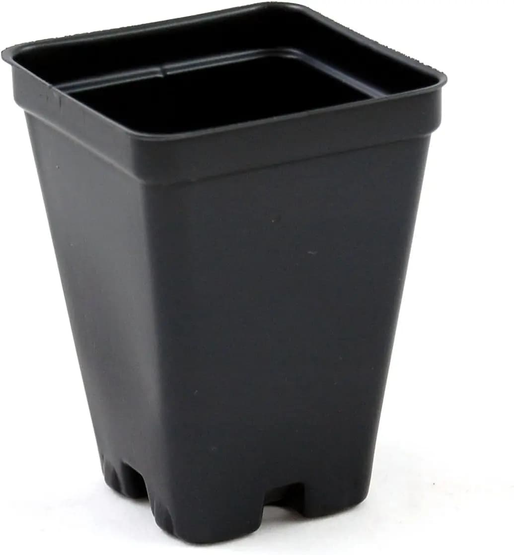 Vasi Quadrati Profondi in Plastica da 2,5 Pollici, Confezione da 800 - Ideali per la Crescita delle Piante e il Giardinaggio