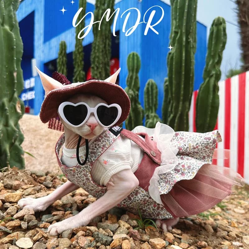 Gonna floreale Sphynx di lusso con cappello in pizzo per gattini Sping Summer Cat Dress Cat maniche corte Cute Loungewear per Devon Rex