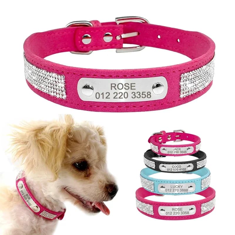 Collari per cuccioli per cani in pelle personalizzati 1PC con targhetta con nome personalizzato Collare per gatti regolabile per cani di piccola taglia e media