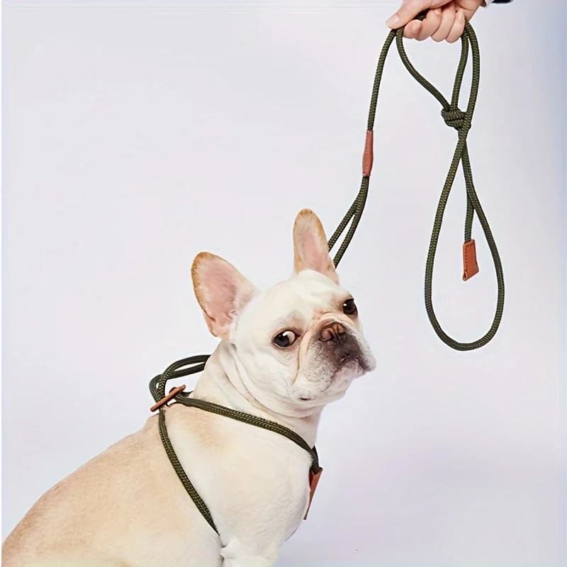 Guinzaglio integrato per cani da compagnia, cinturino in nylon, fascia toracica per cani regolabile, guinzaglio per cani da passeggio