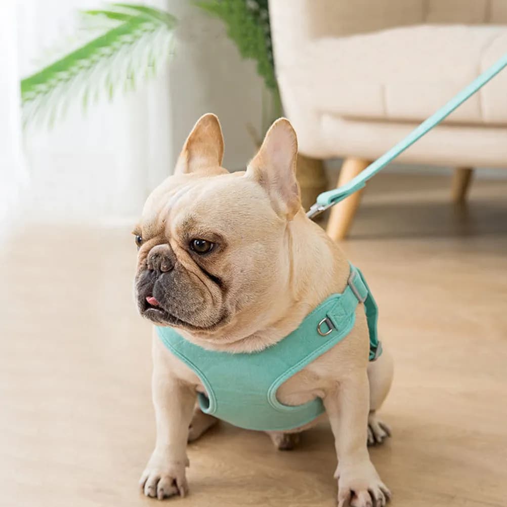 Set di 1 Pettorina per Cani con Clip Posteriore e Strisce Riflettenti, Guinzaglio Portatile Resistente all'Usura per Passeggiate all'Aperto e Controllo Sicuro Notturno